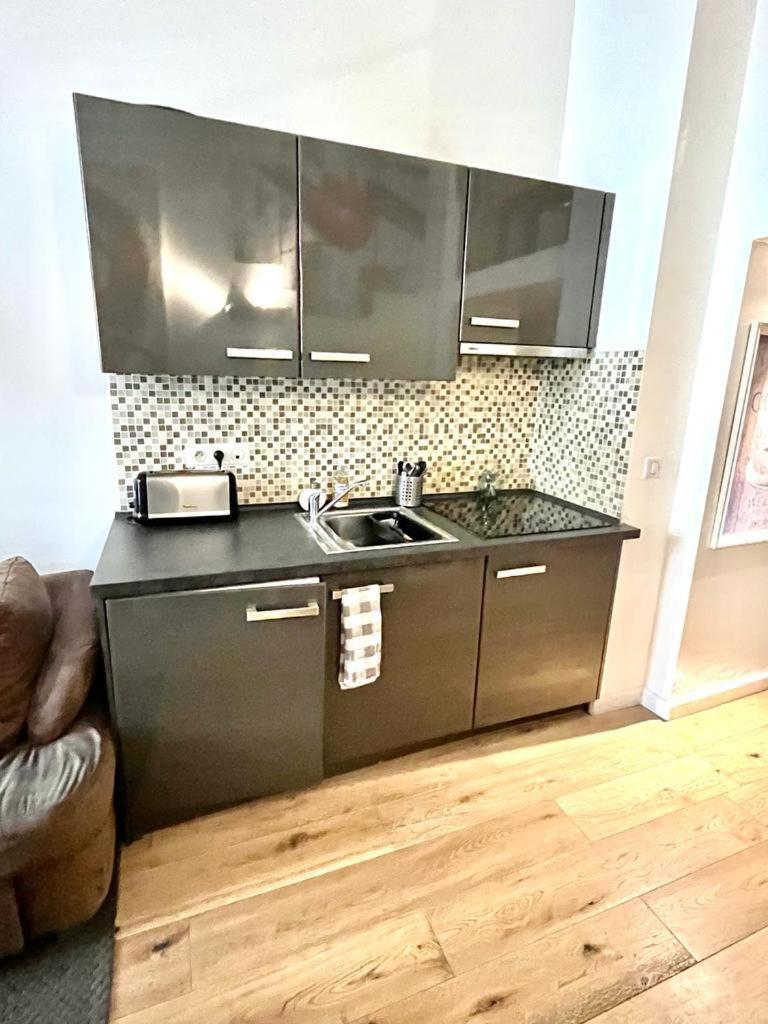 ニースDuplex Patio Wilsonアパートメント エクステリア 写真